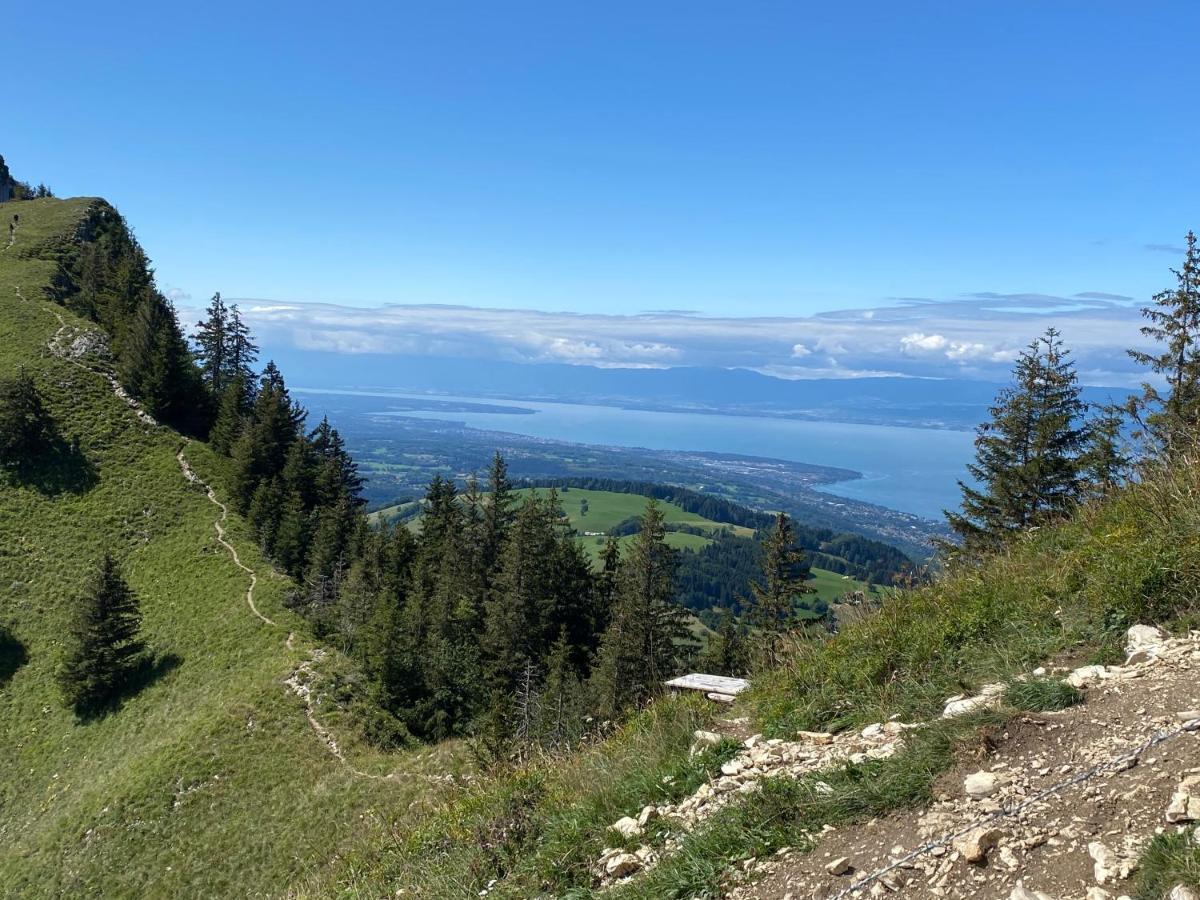 B&B Hotel Evian Publier Kültér fotó
